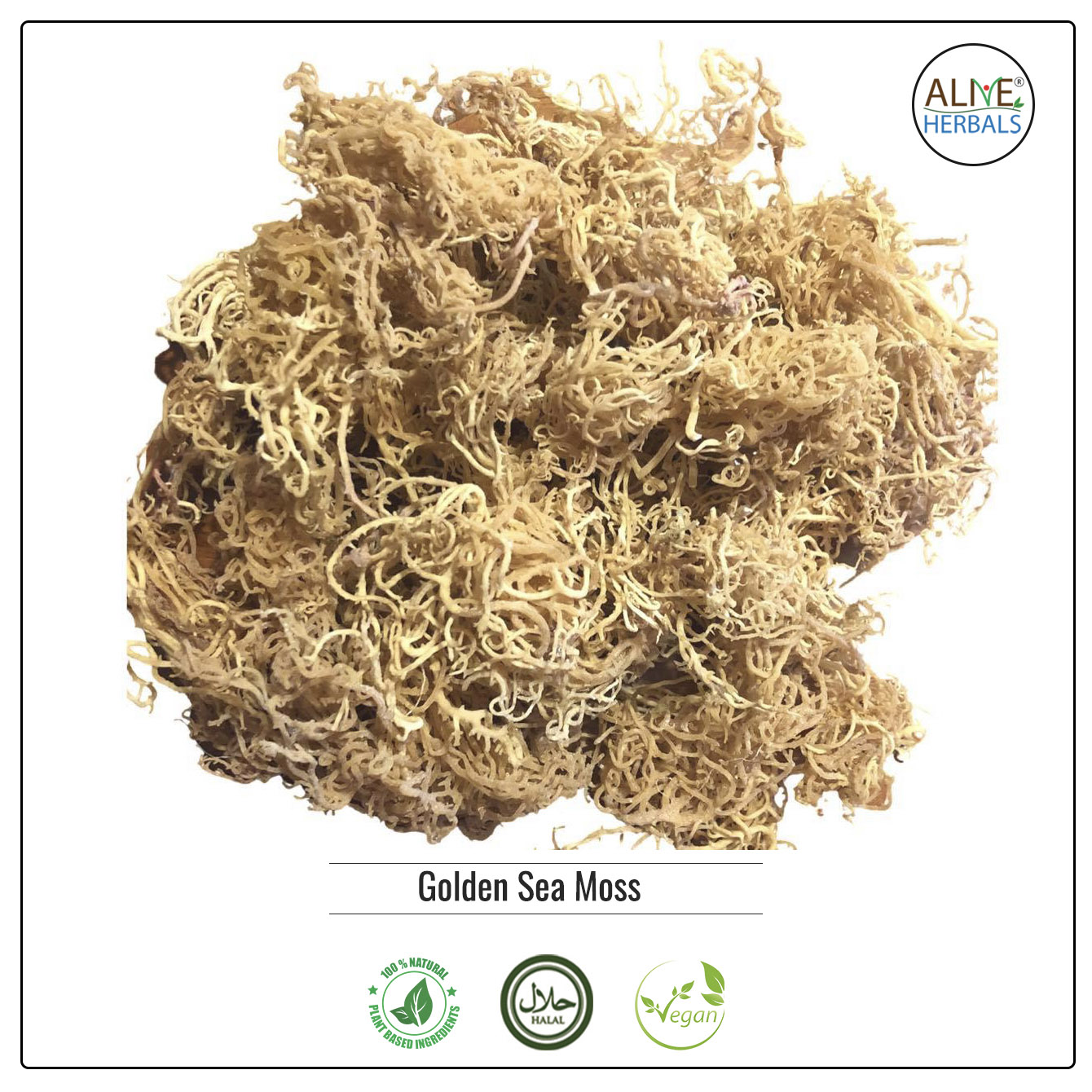 Golden Sea Moss - Buy Irish Sea Moss | Alive Herbal.