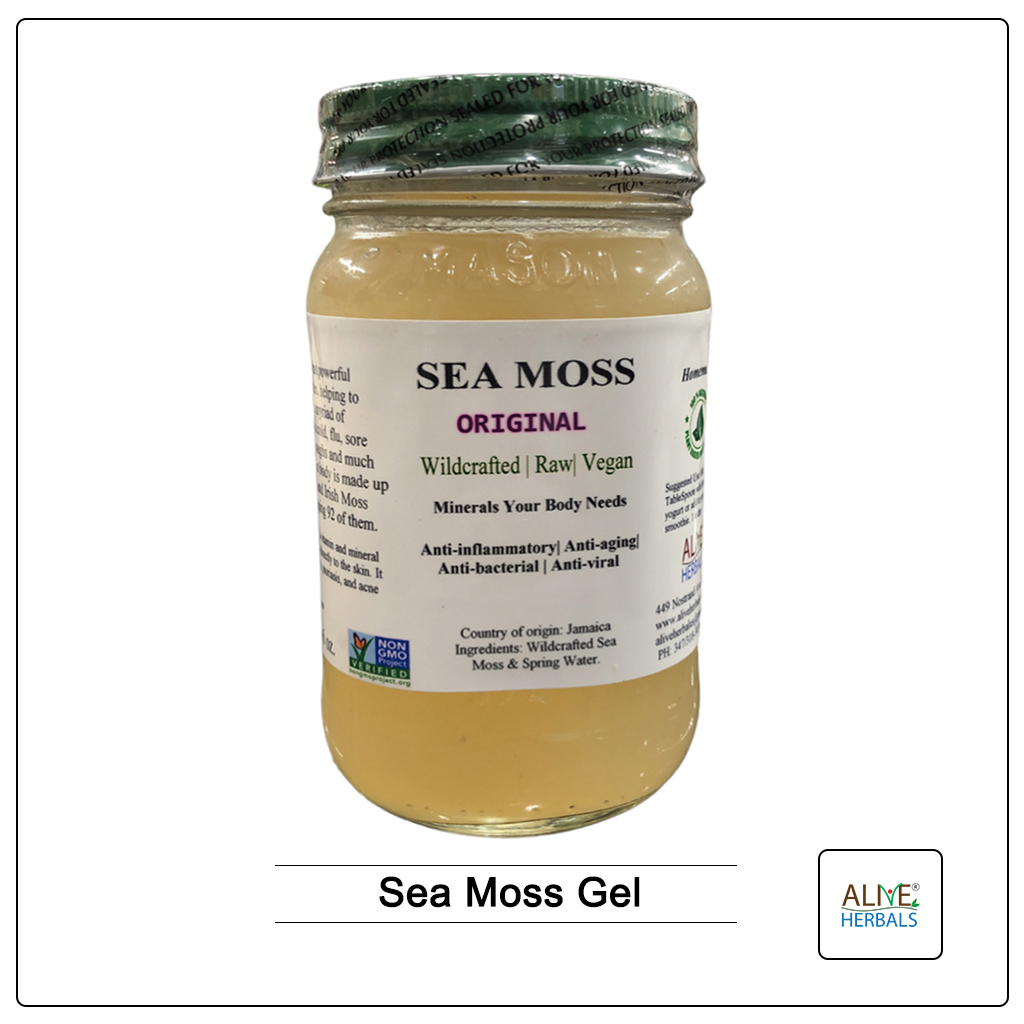 Sea Moss Gel - Buy Pure Sea Moss Gel At Alive Herbal